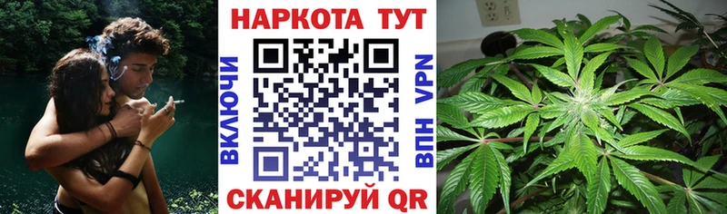 Магазин наркотиков Новоалександровск MEGA зеркало  Кокаин  ГАШИШ  Бошки Шишки 