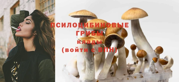 ГАЛЛЮЦИНОГЕННЫЕ ГРИБЫ Алексеевка