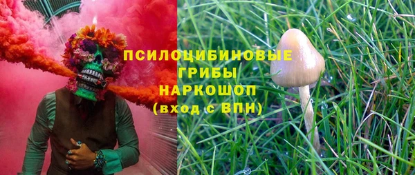 тгк Алексин