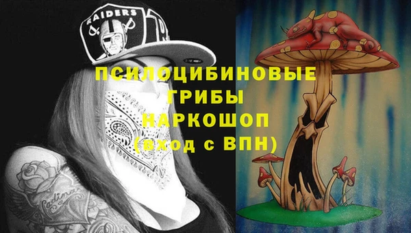 ешки Кинешма