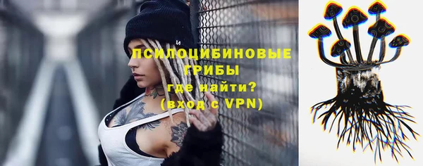 тгк Алексин