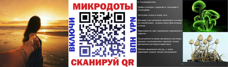 Галлюциногенные грибы MAGIC MUSHROOMS Новоалександровск