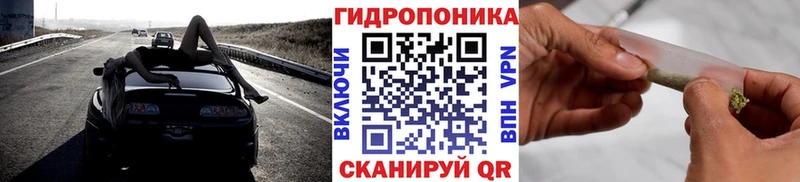 Бошки Шишки семена  ссылка на мегу зеркало  Новоалександровск 